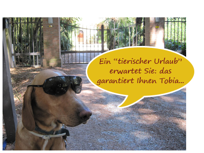 Toskana ferien mit haustier